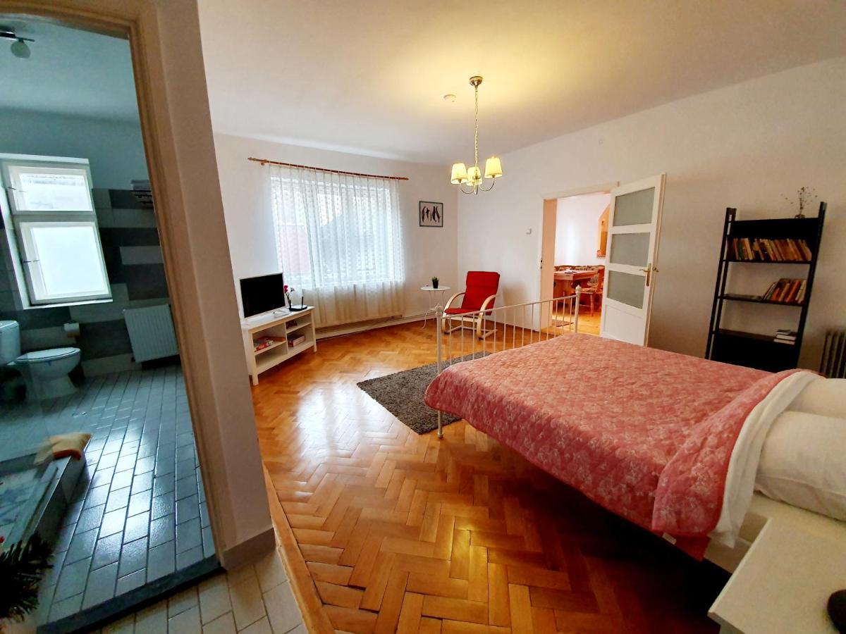 Luk Old Town Apartment 锡比乌 外观 照片